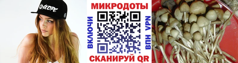 kraken tor  Мичуринск  Галлюциногенные грибы MAGIC MUSHROOMS  купить  цена 