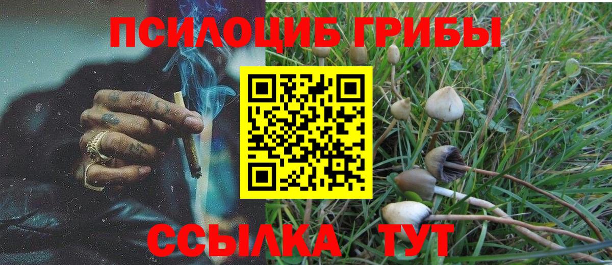 Псилоцибиновые грибы GOLDEN TEACHER Мичуринск