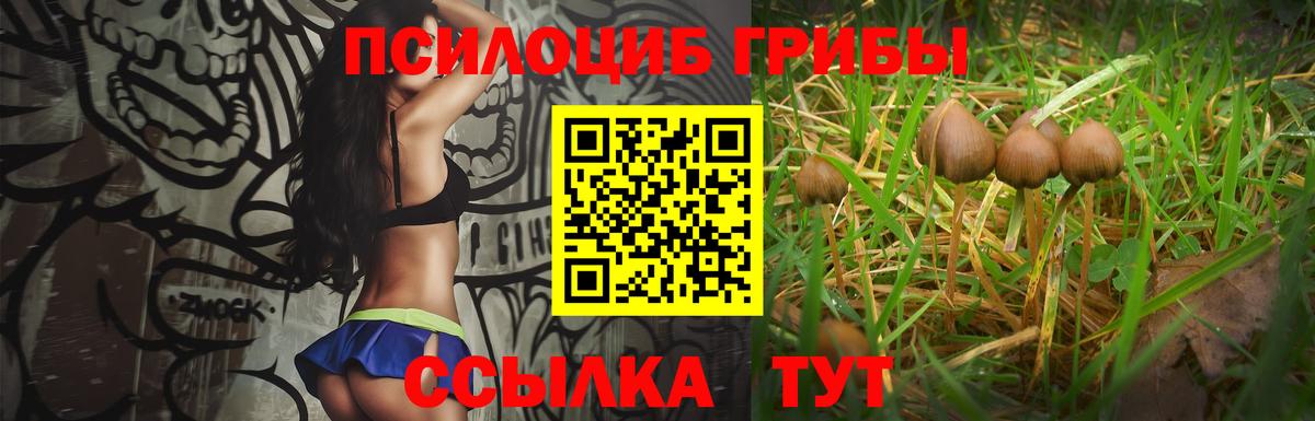 Гашиш  Экстази  Вход с VPN  Меф кристаллы  МАРИХУАНА  Меф  Бошки Шишки  Мичуринск  Кокаин 